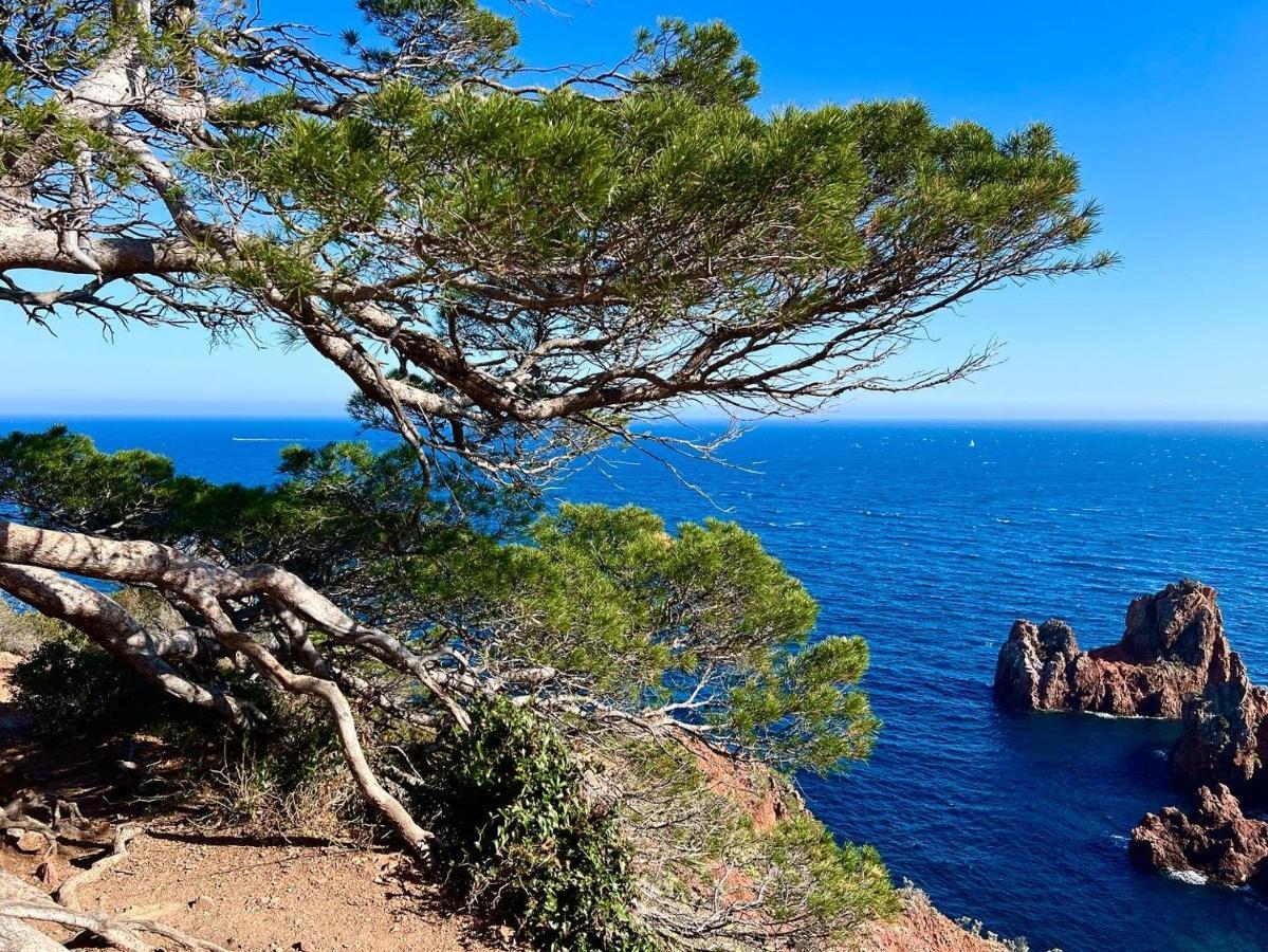 Les Cactus Frejus Plage Kültér fotó
