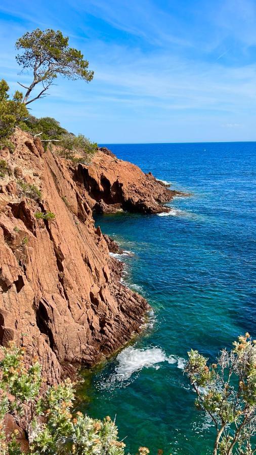 Les Cactus Frejus Plage Kültér fotó