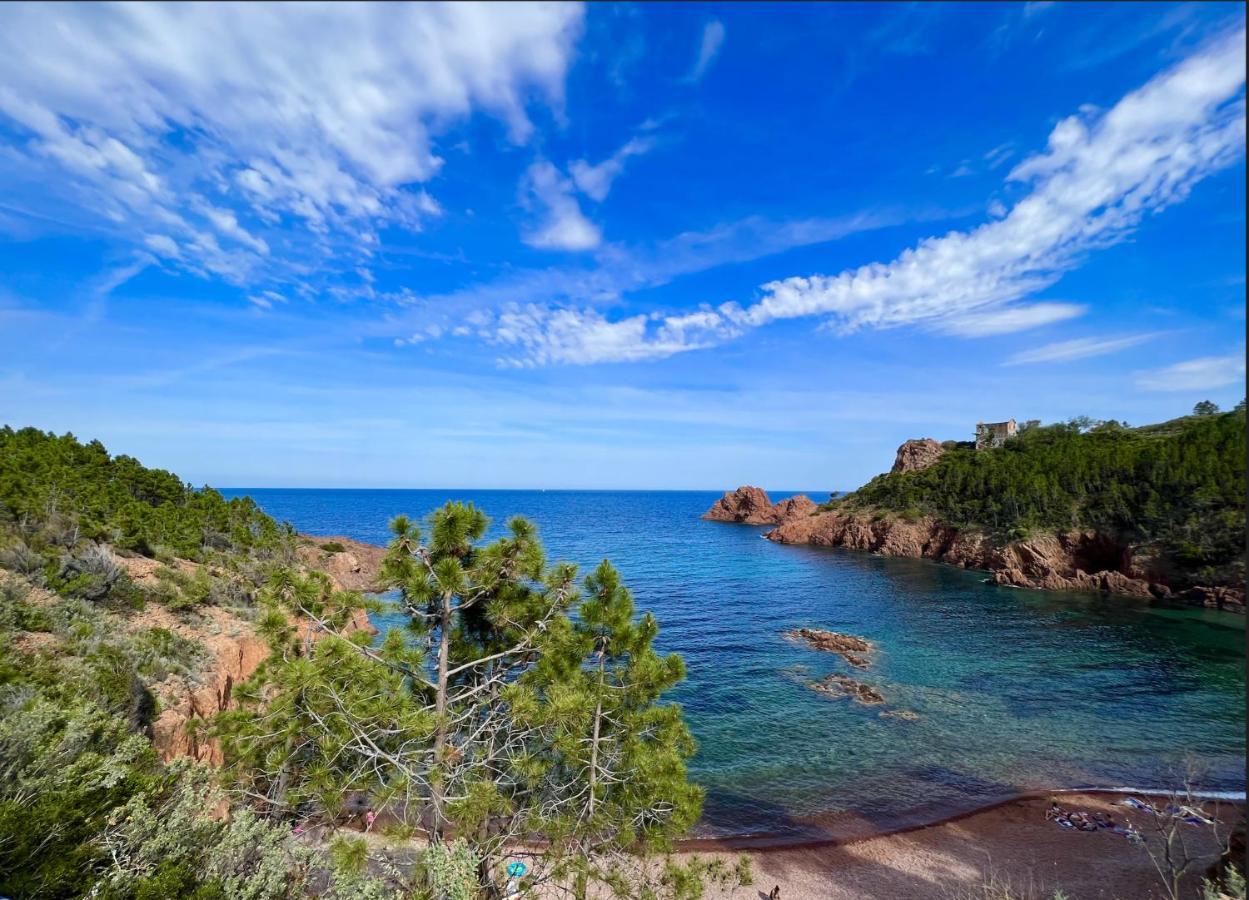 Les Cactus Frejus Plage Kültér fotó