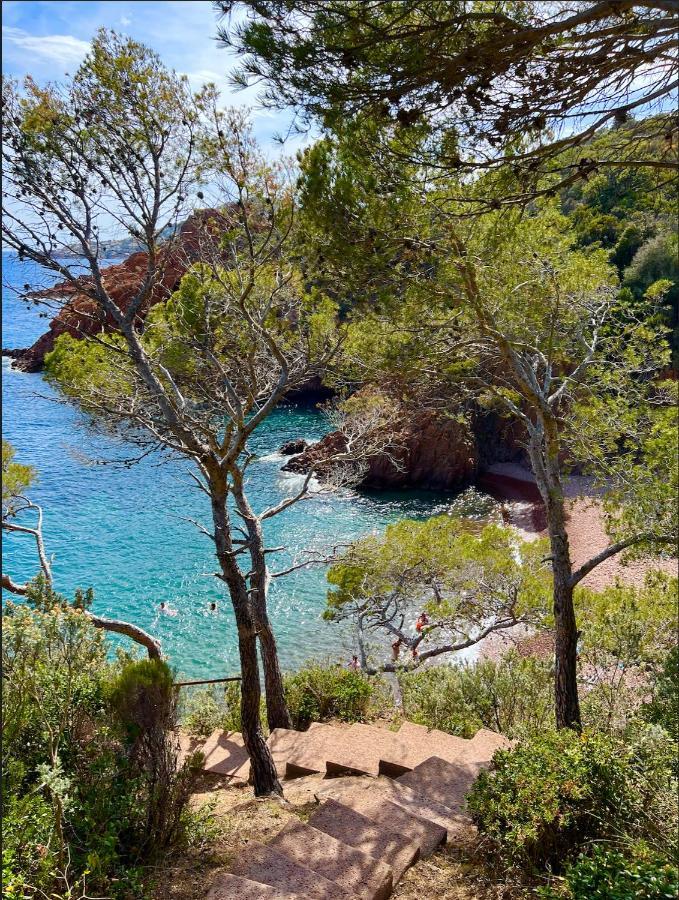 Les Cactus Frejus Plage Kültér fotó