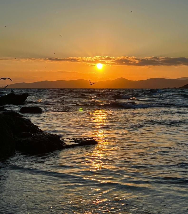 Les Cactus Frejus Plage Kültér fotó