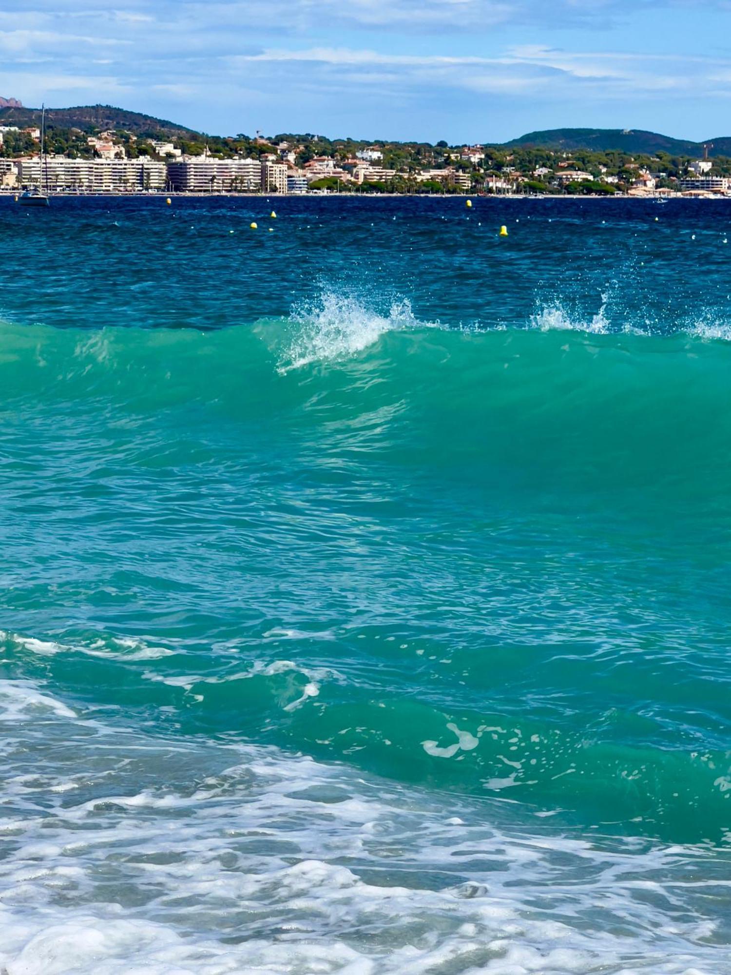 Les Cactus Frejus Plage Kültér fotó